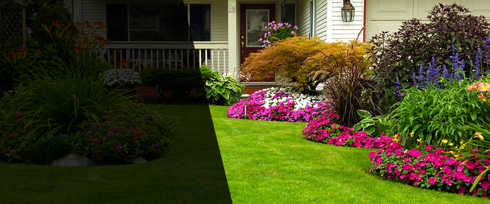 Chalmette Landscapers