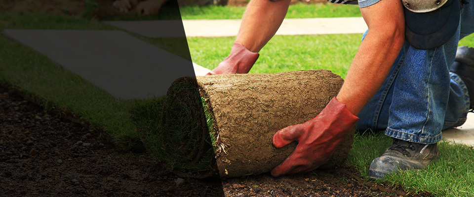 Chalmette Landscapers